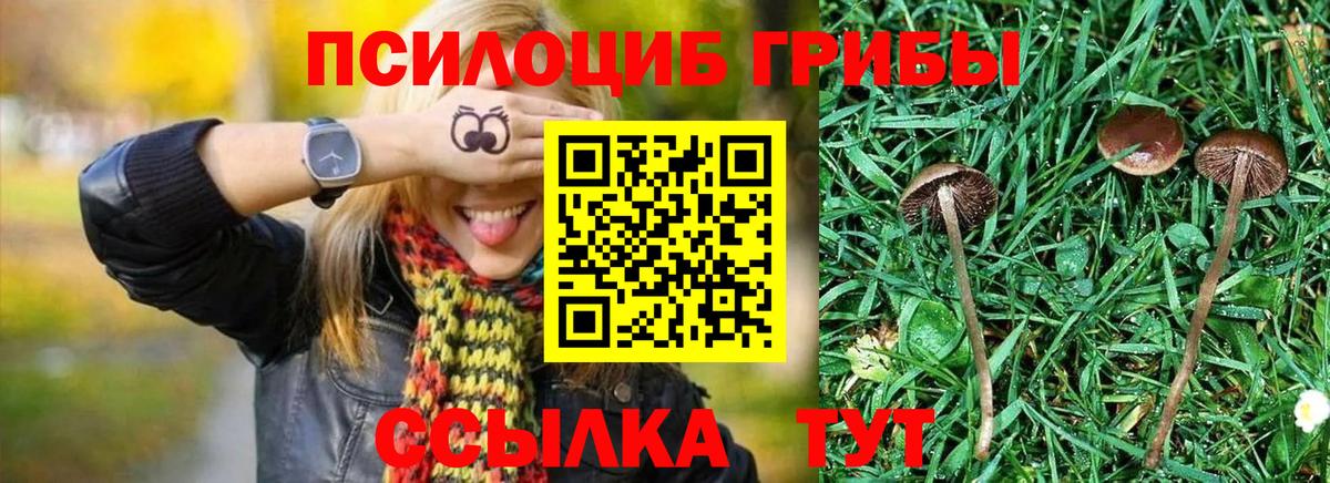 Псилоцибиновые грибы MAGIC MUSHROOMS Верхняя Пышма